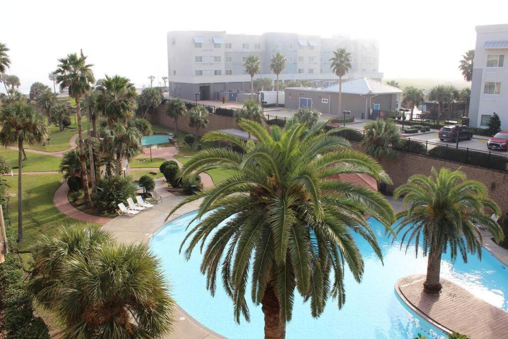 Bluebonnet By The Sea - Resort-style Pool And Views Apartment *